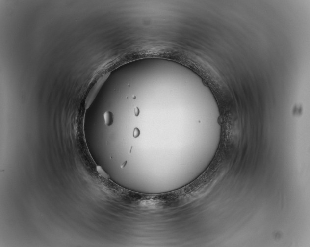 X0000100190216200806131215