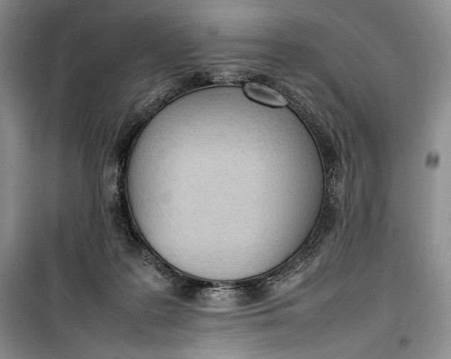 X0000100190219200806131215