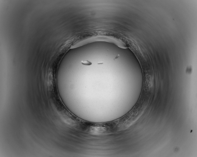 X0000100190220200806131215