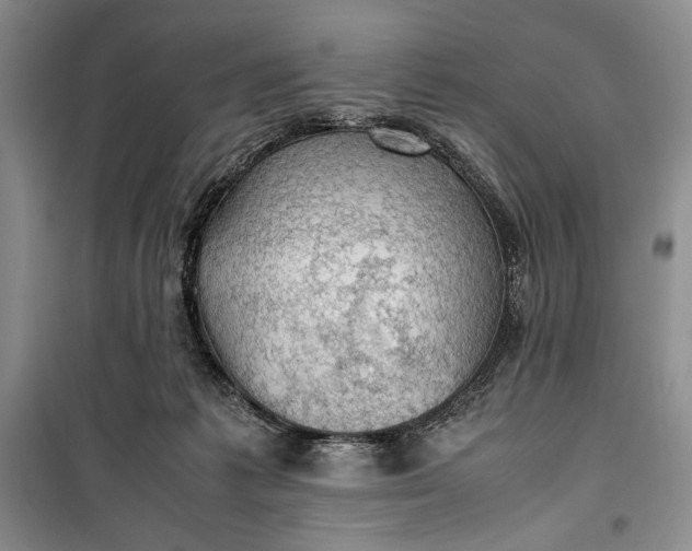 X0000100190221200806131215