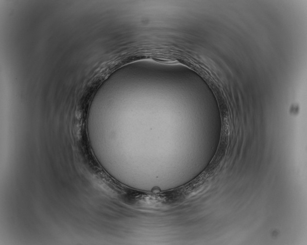 X0000100190223200806131215