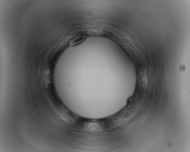 X0000100190224200806131215