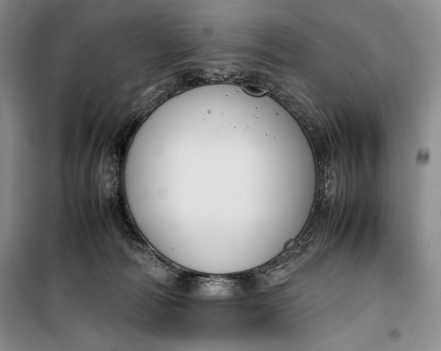 X0000100190226200806131215