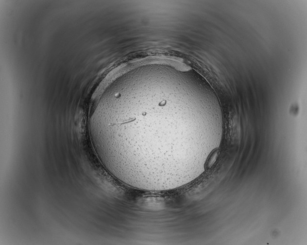 X0000100190228200806131215