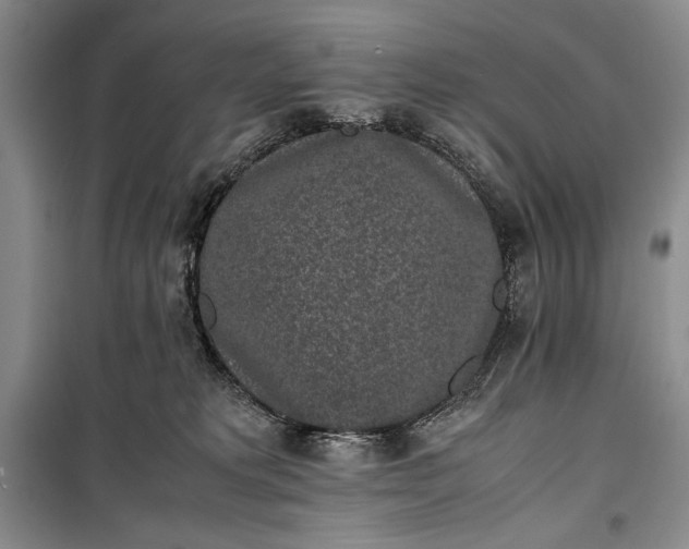 X0000100190229200806131214