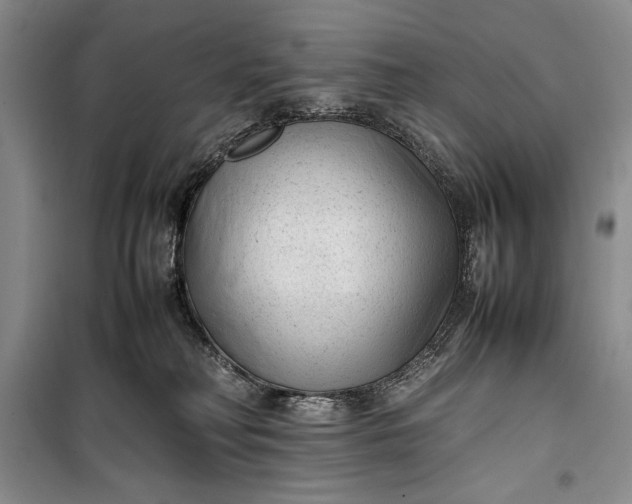 X0000100190230200806131214