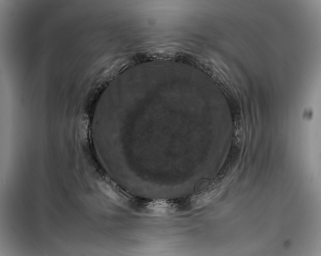 X0000100190231200806131214