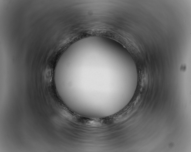 X0000100190232200806131214