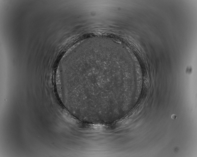 X0000100190233200806131214