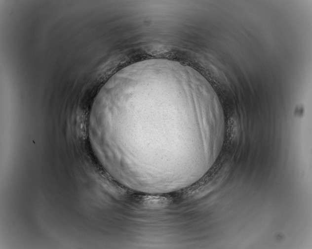 X0000100190234200806131214