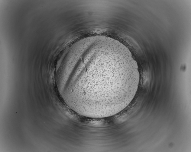 X0000100190236200806131214