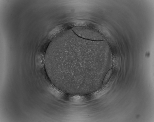 X0000100190237200806131214