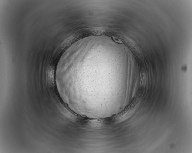 X0000100190238200806131214