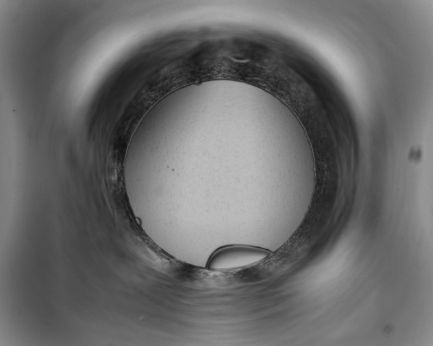 X0000100190239200806131214