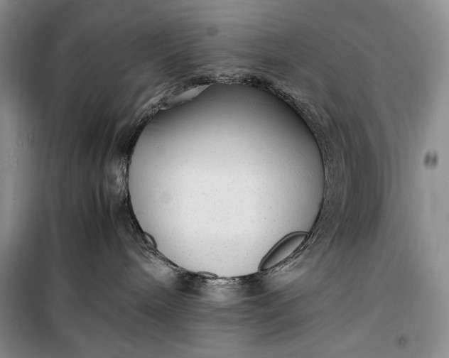 X0000100190240200806131214