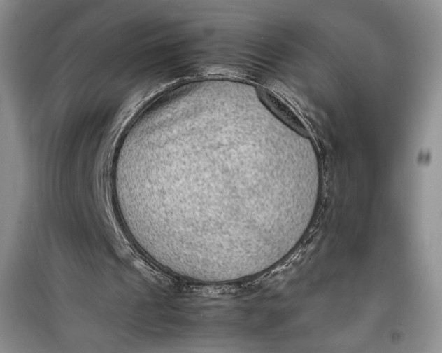 X0000100190241200806131214