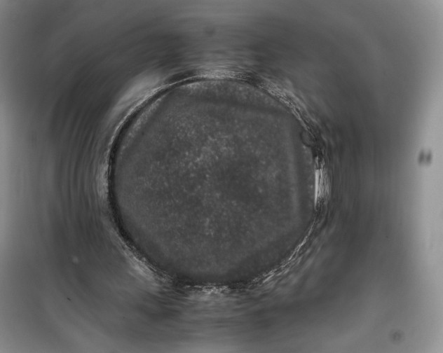 X0000100190243200806131214