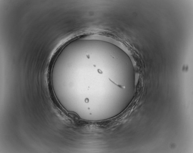 X0000100190244200806131214