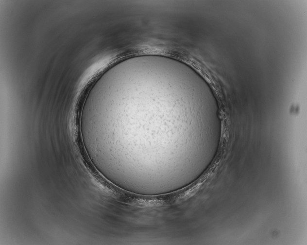 X0000100190245200806131214