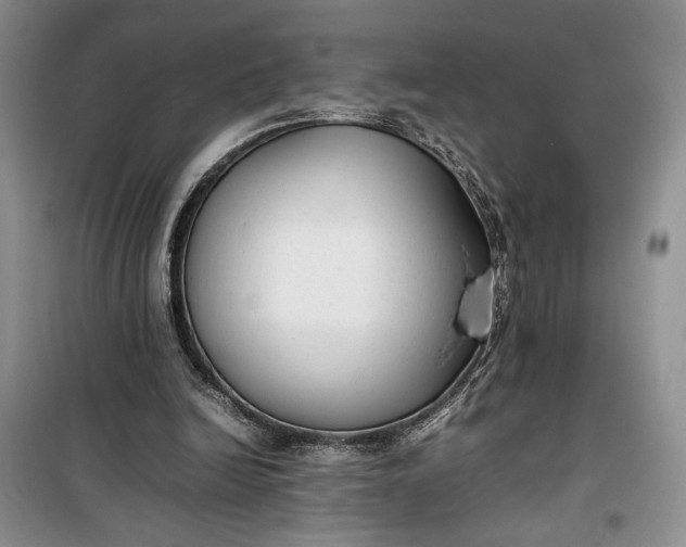 X0000100190246200806131214