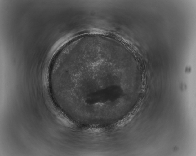 X0000100190247200806131214