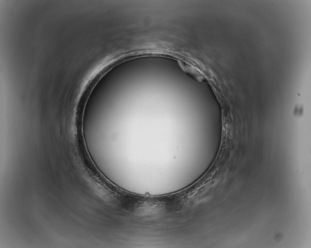 X0000100190248200806131214