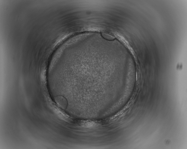 X0000100190249200806131214