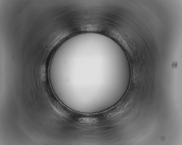 X0000100190251200806131214