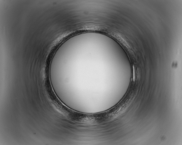 X0000100190252200806131214