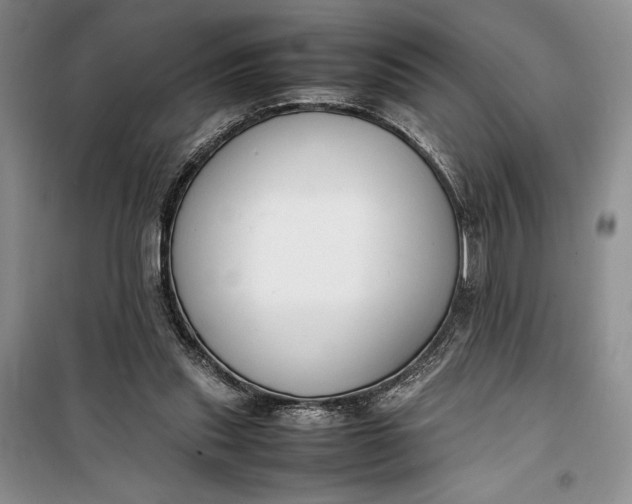 X0000100190253200806131214