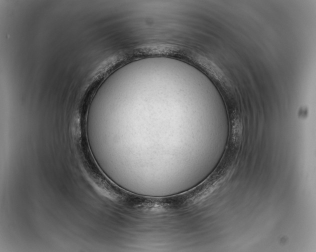 X0000100190254200806131214