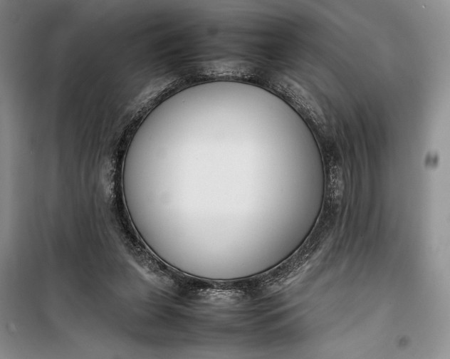 X0000100190255200806131214