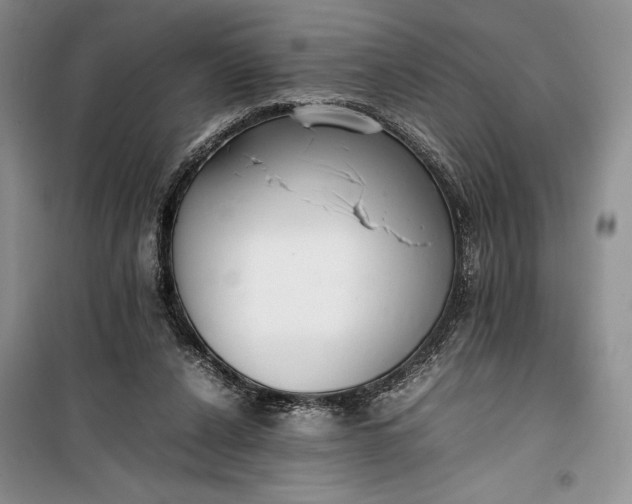 X0000100190256200806131214