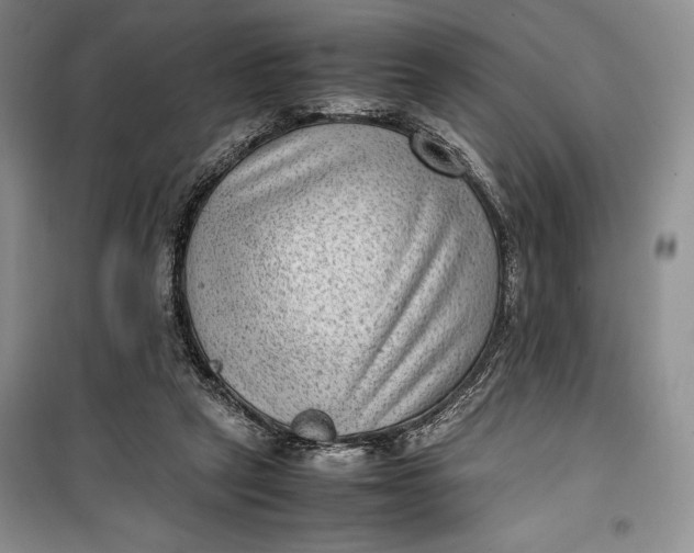 X0000100190257200806131214