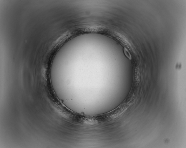 X0000100190258200806131214