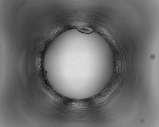 X0000100190259200806131214