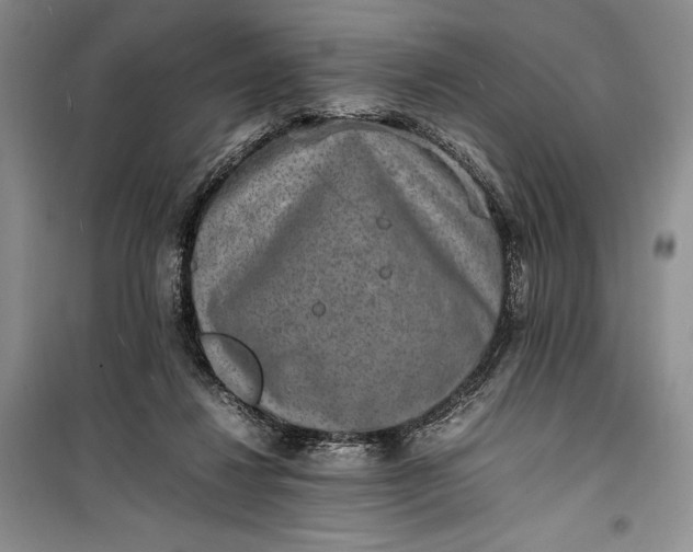 X0000100190260200806131214