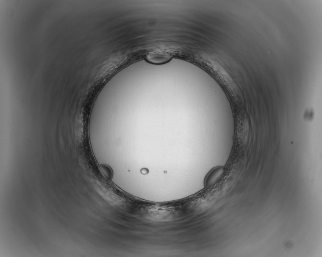 X0000100190261200806131214