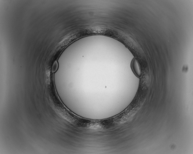 X0000100190262200806131214