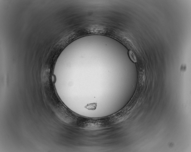 X0000100190263200806131214