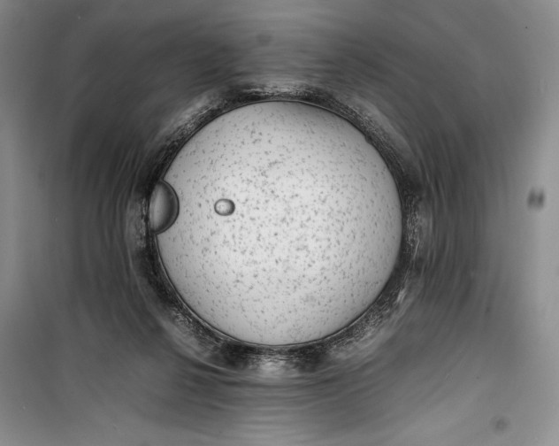 X0000100190264200806131214