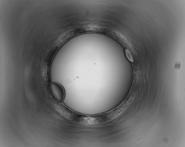 X0000100190265200806131214