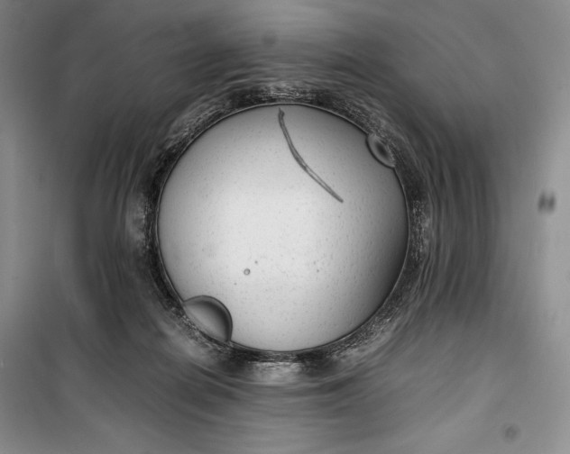 X0000100190266200806131214