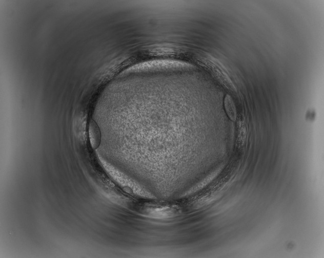 X0000100190267200806131214