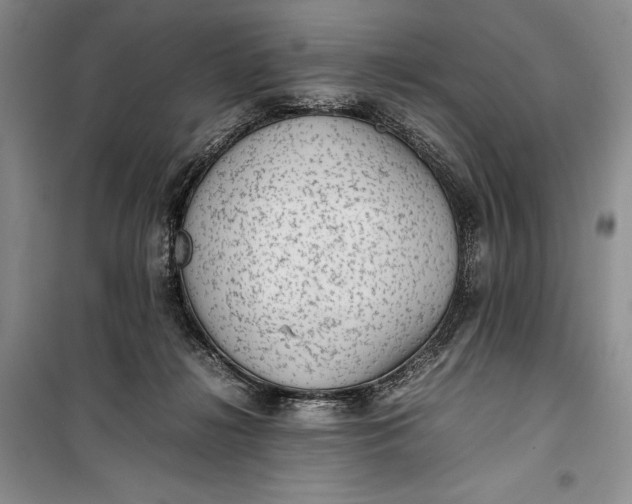 X0000100190268200806131214