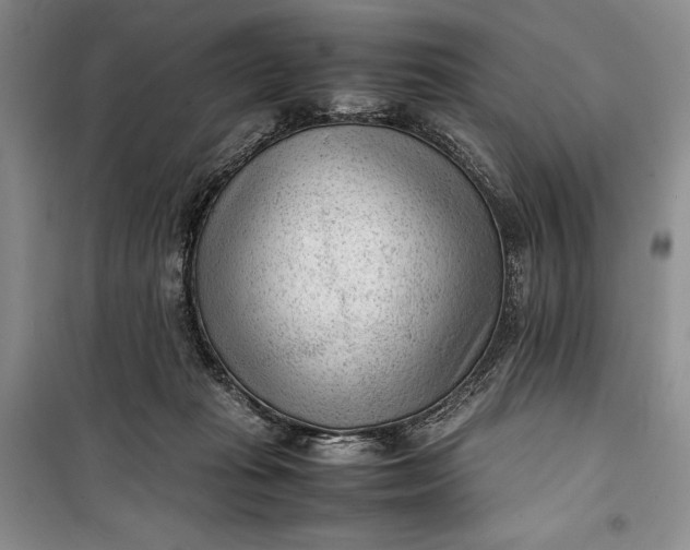 X0000100190269200806131214