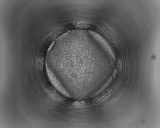 X0000100190271200806131214