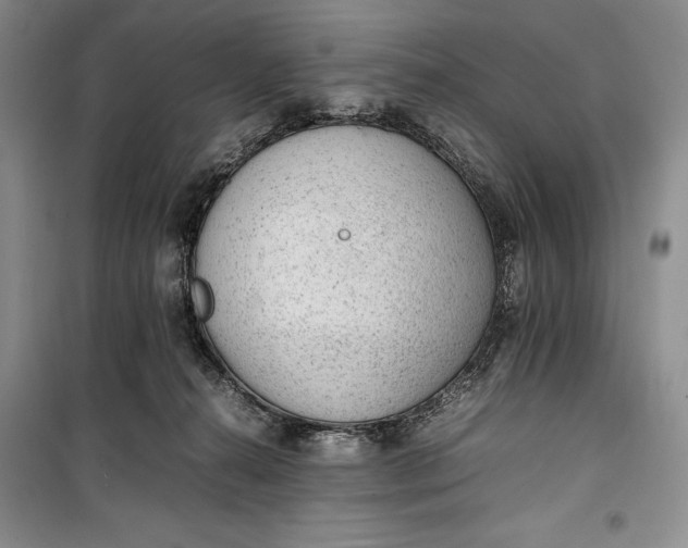 X0000100190272200806131214