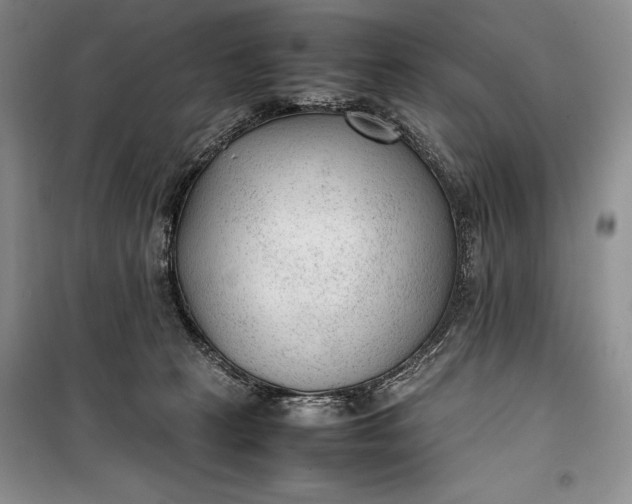 X0000100190273200806131214