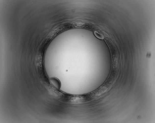 X0000100190274200806131214